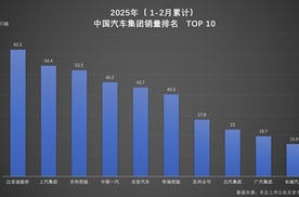 比亚迪实力登顶！2025年1-2月车企、品牌销量双冠军花落谁家？