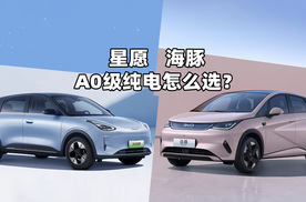 都是A0级纯电热门选手，比亚迪海豚和吉利星愿该怎么选？