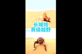 长城炮 玩沙漠比铲吻蜥蜴还要厉害