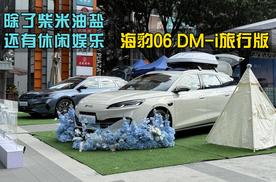四款车型风格各异，海豹06系列该怎么选呢？