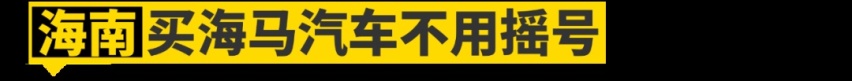海南买海马送牌、深圳补贴比亚迪，这些“地方保护”你知道吗？