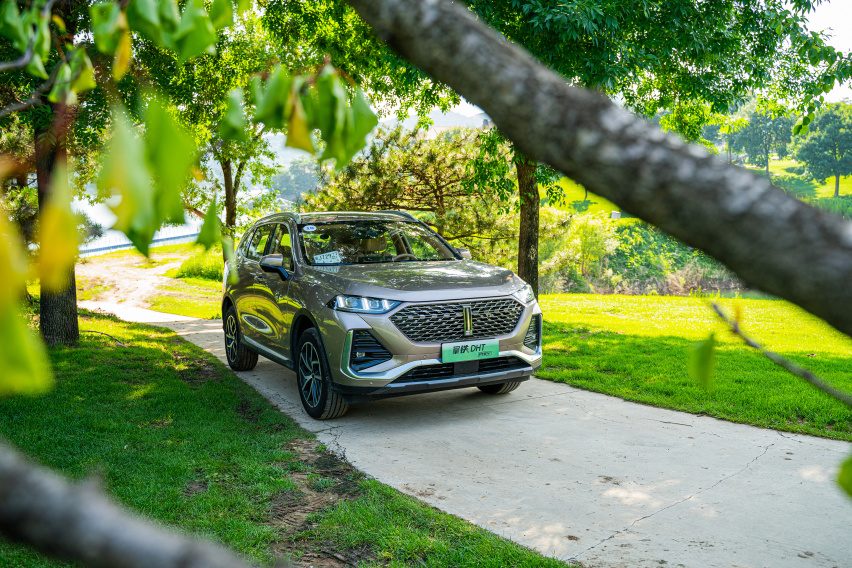 自驾奶爸座驾拿铁DHT-PHEV 夏日玩耍露营在金海湖碧波岛