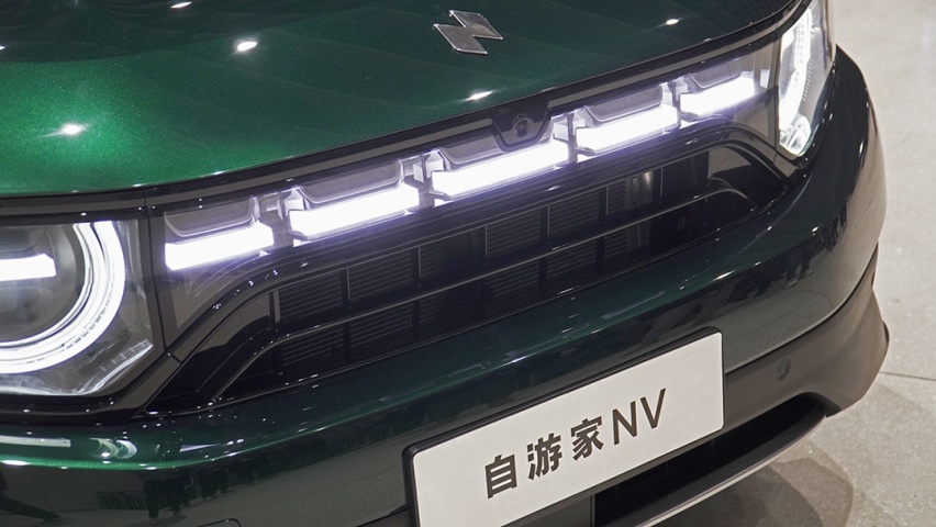 自游家NV：努力切入赛道的新人！