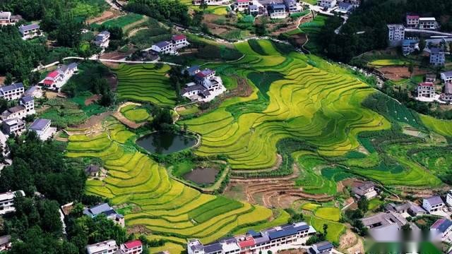 280公里节油赛 五菱星光让我们刮目相看的不止是油耗