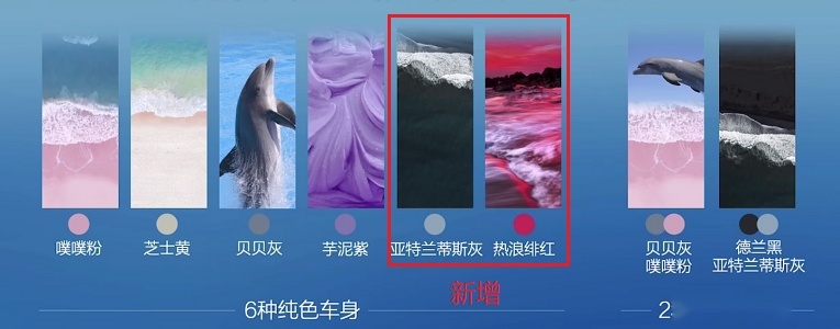 9.98万起售,比亚迪海豚荣耀版来袭,决心颠覆合资燃油小车市场?