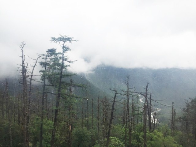 速度与稳定全都要，记一次出游行
