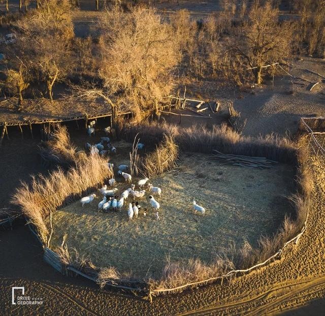 除了独库公路，G217被忽略的南段还可以这样玩！|中国自驾地理