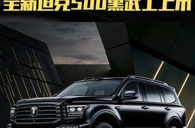 原厂官改 个性拉满！全新坦克500黑武士真的太“炫”了！