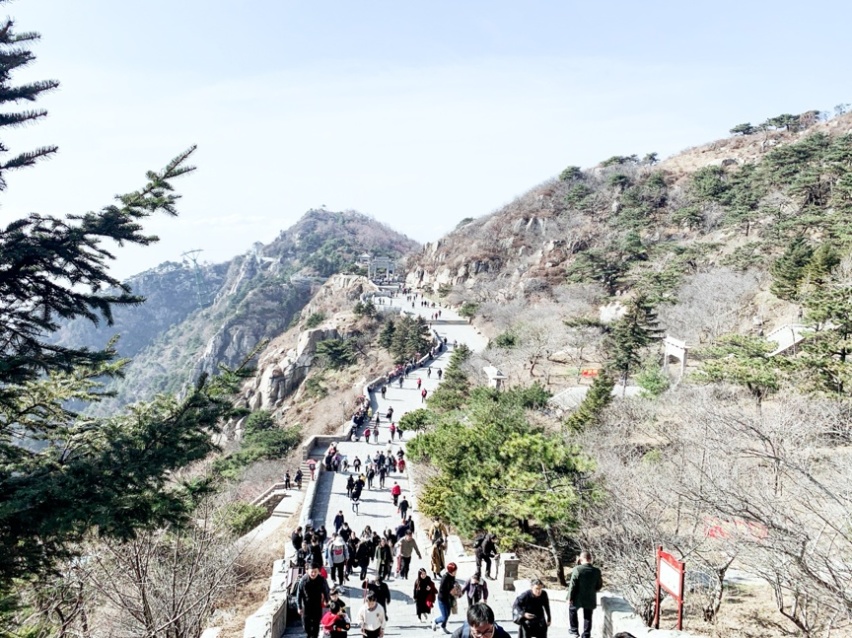 山路崎岖，伊兰特靠什么“泰”然处之？
