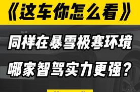 面对冰雪极寒环境，华为系、理想、小鹏、蔚来、特斯拉，谁的智驾实力更强？