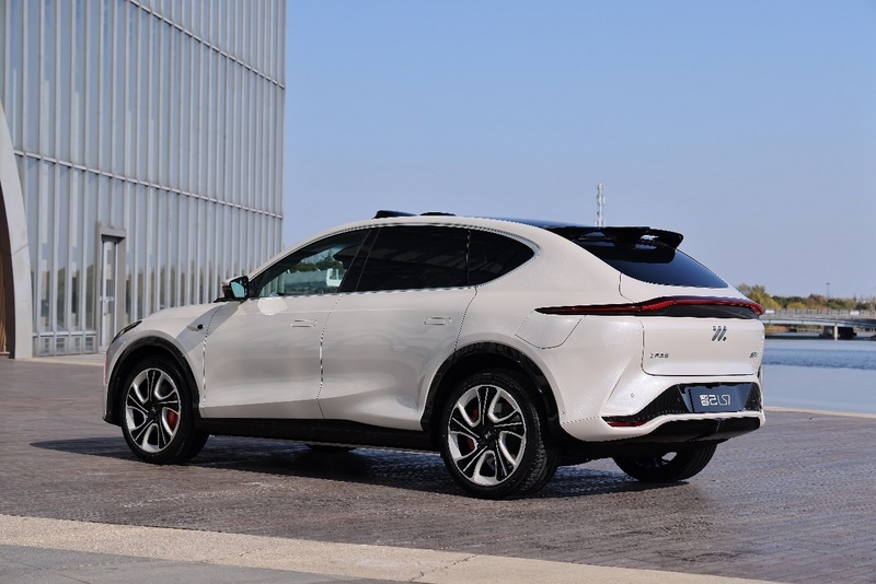 经济家用SUV，智己LS7和护卫舰07你选谁？