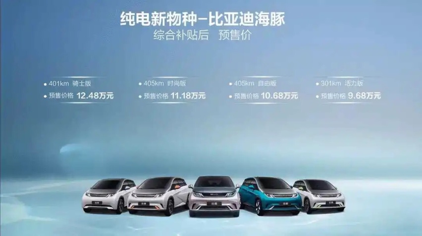 比亚迪海鸥在华才刚开始交付，德国人就已开始做功课了？