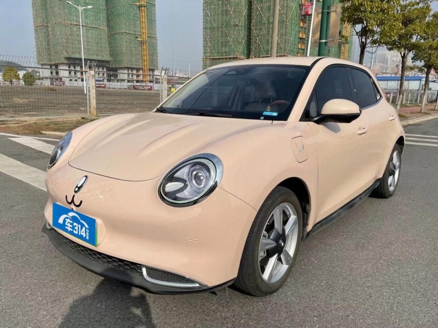 十斗的A0级纯电市场，比亚迪独占六斗，四斗可容各路老将新秀？