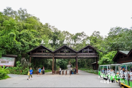 忆起童年，逸起向前丨共鉴非同“逸”往的幸福