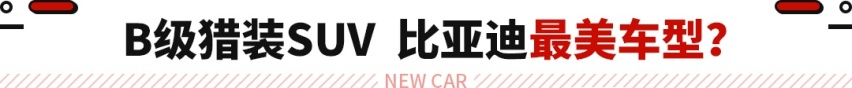 堪称比亚迪最美SUV！全新车型官图发布 平替版帕拉梅拉？