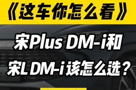 宋PLUS DM-i和宋L DM-i，买哪个性价比更高？