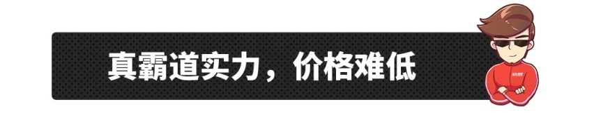 这些车是咋想的？挂着个国产标，敢卖30万+？