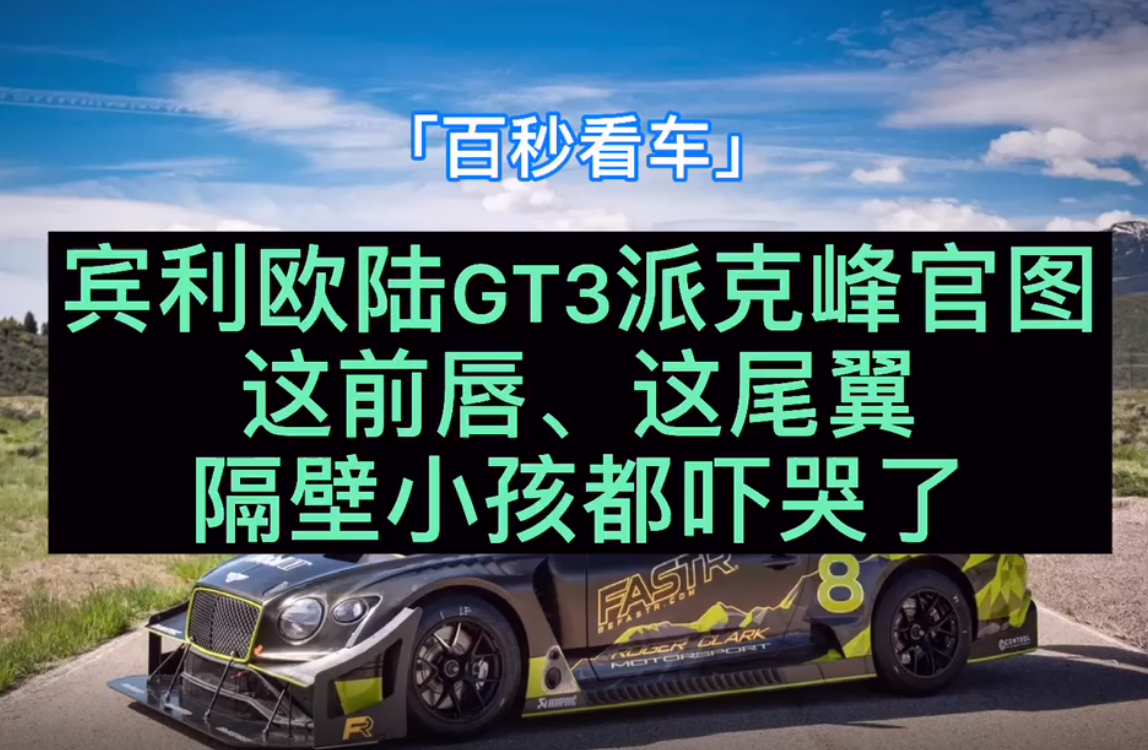 �e���W�GT3�ɿ˷�وD���@ǰ�� �@β�� ����С���@���������٬F��