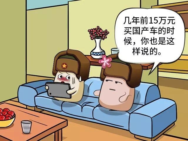 如果你有25万元，你会买国产车吗？