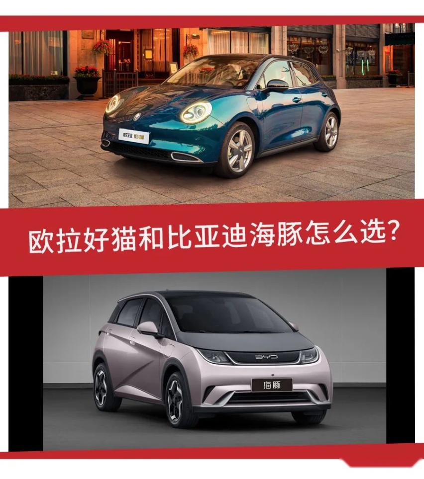 预算10万，买猫还是海豚？欧拉好猫和比亚迪海豚怎么选？