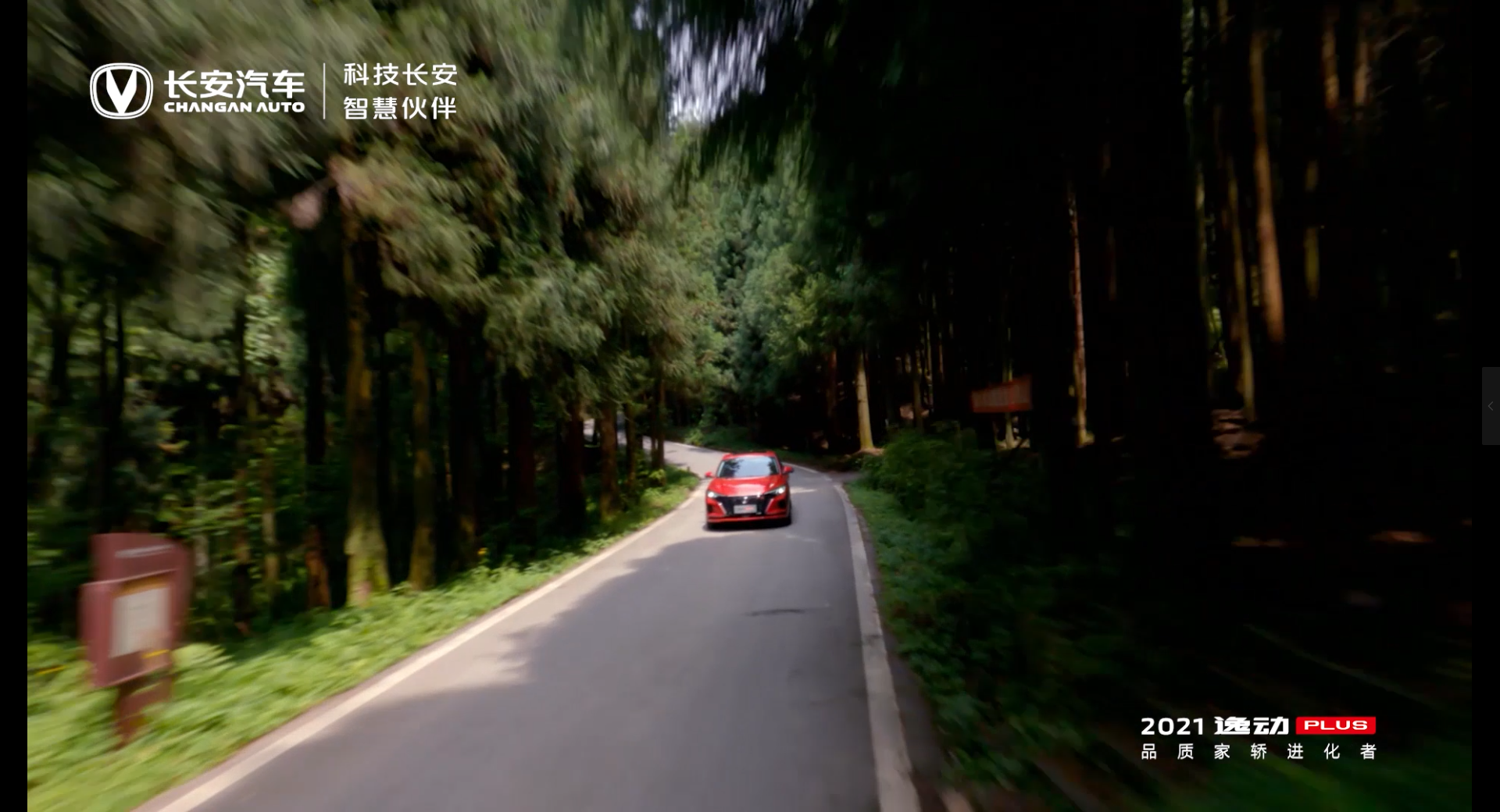 ȄO²ٿL݄PLUS𺳳ԽCcll