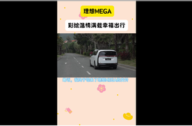 理想MEGA彩绘温情，满载幸福出行