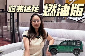 哈弗猛龙燃油版，简直就是给我们机械控的一封情书!