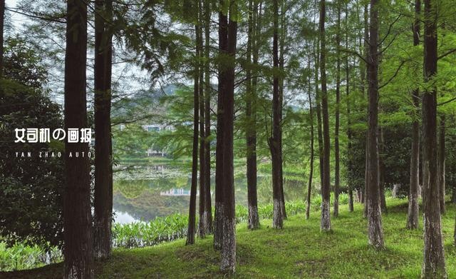 试驾 | 在天荒坪跑山，体验全方位健康汽车吉利icon的野性