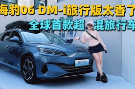 全系标配冷暖两用车载冰箱！比亚迪海豹06DM-i旅行版10.98万元起