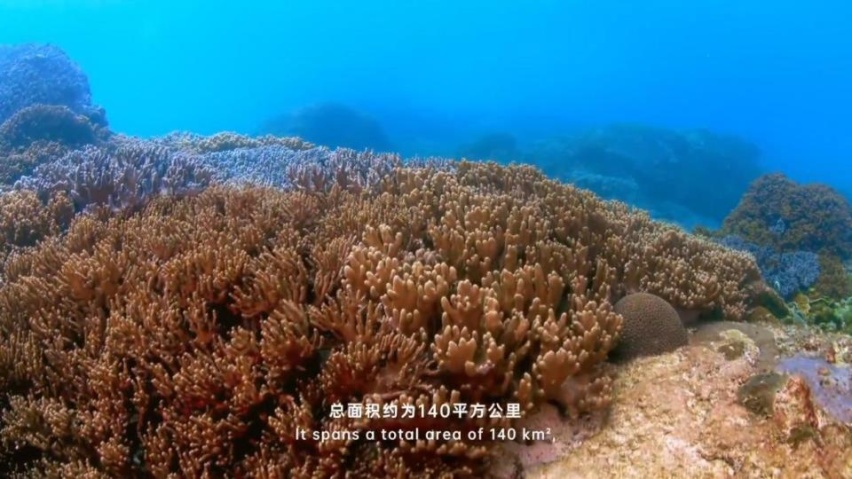 绿色出行是我们对美好生活的向往，与比亚迪共同探寻神秘的海南岛