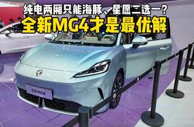 纯电两厢只能海豚、星愿二选一？全新MG4才是最优解！