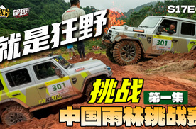 热带雨林挑战赛！是什么把212 T01逼疯了？【悦野】S17E01
