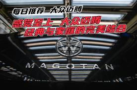 年少有为开迈腾，爱情自然有人疼，谁行谁开380