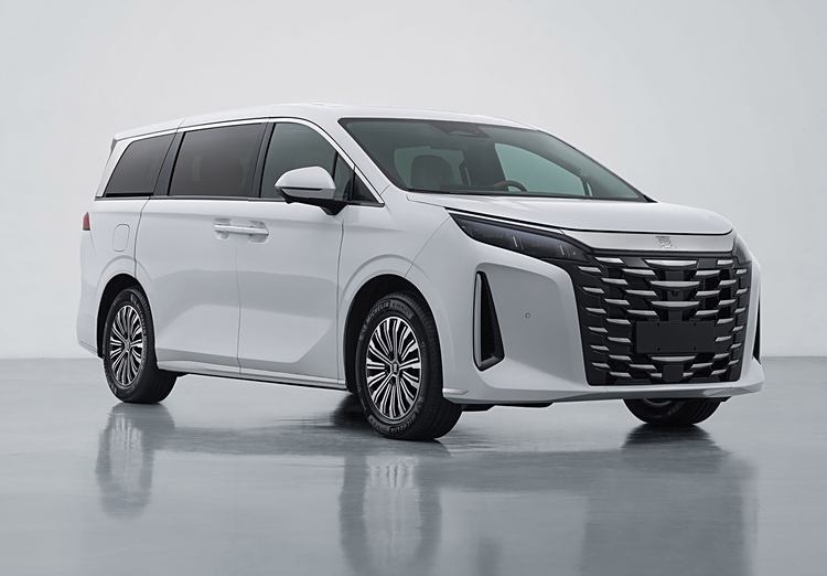 30万级中大型MPV 比亚迪夏申报图公布