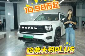 10.98万起 哈弗大狗PLUS正式上市