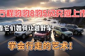 方程豹豹8豹5闪充版上市，看它们如何让越野车“学会行走的艺术”！