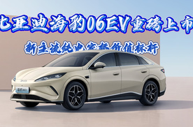 新主流纯电家轿价值标杆，比亚迪海豹06EV重磅上市