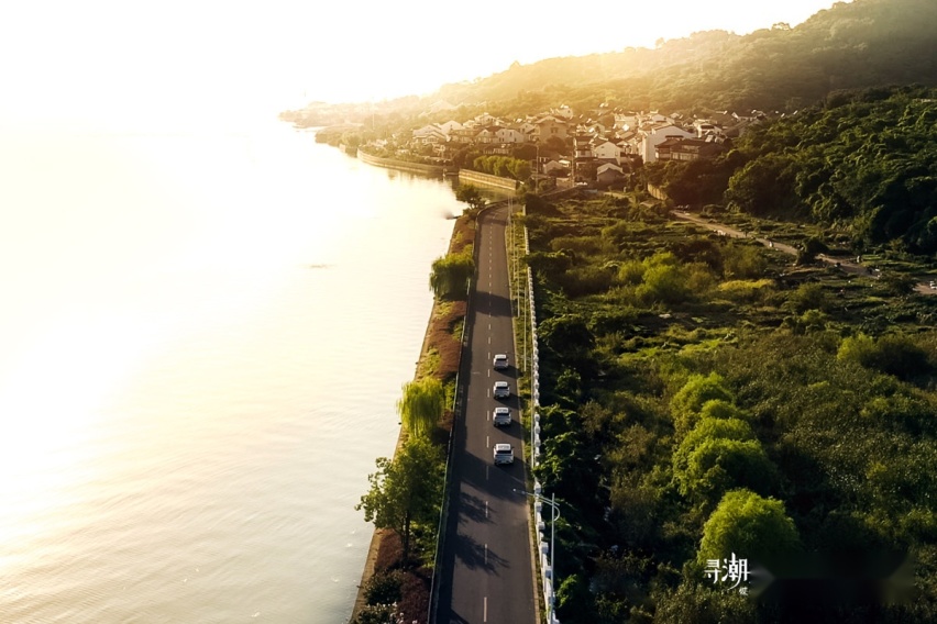 ​“寻潮造浪 生而出色” 比亚迪海豚苏州领YOUNG启程