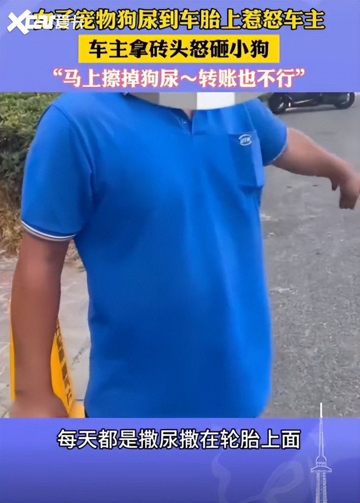 车主怒砸乱撒尿宠物狗事件：狗尿不会腐蚀轮胎但闻多了会污染人性