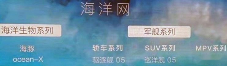 即将迎来产品大年，比亚迪海洋系列新车规划