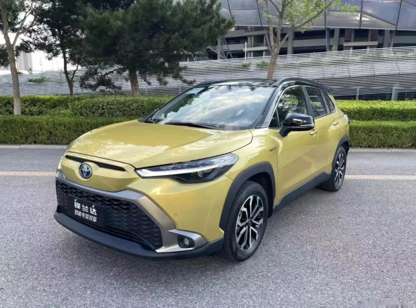 我们需要什么样的新能源车？过瘾一年or安心十年？