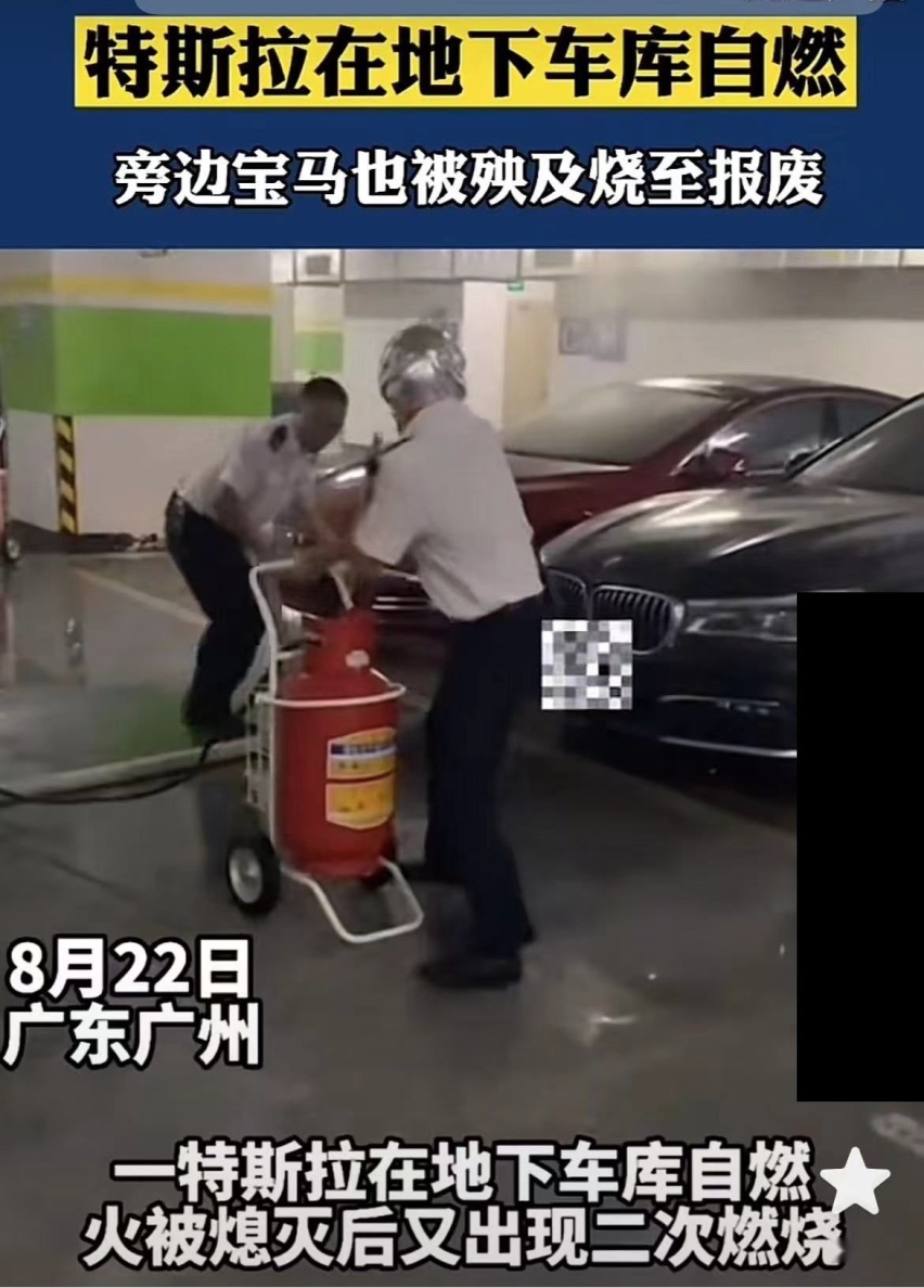 骂得越惨卖得越好，事实证明骂特斯拉的和买特斯拉的不是一拨人