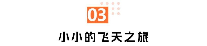 秋日远途一日游，比亚迪宋PLUS冠军版靠谱吗？