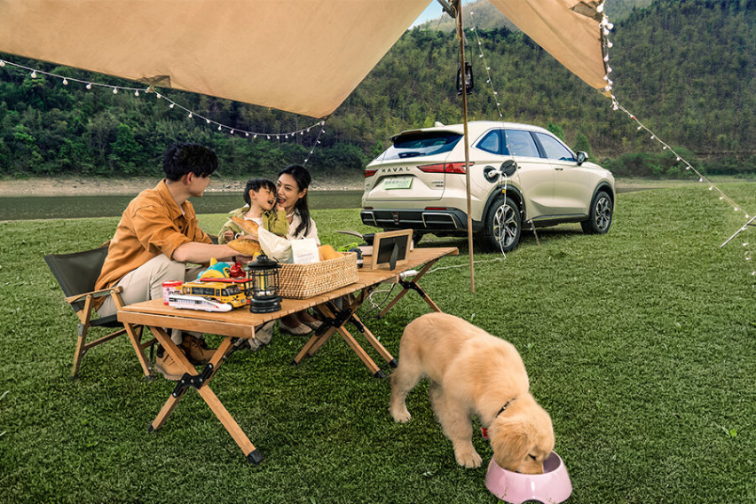 手握17万，插混SUV，选枭龙MAX还是宋PLUS DM-i