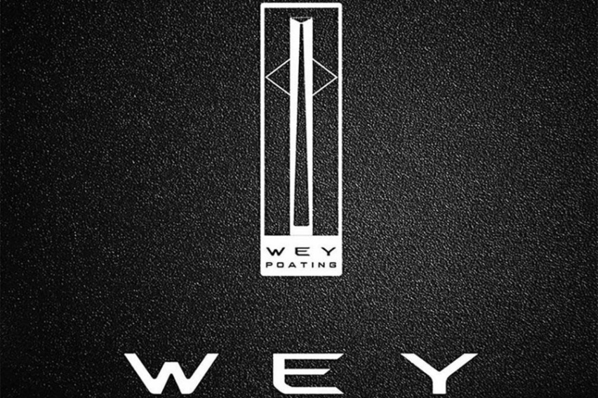 脱去辉煌，深陷败退，WEY的登高之路为何陷入困境？