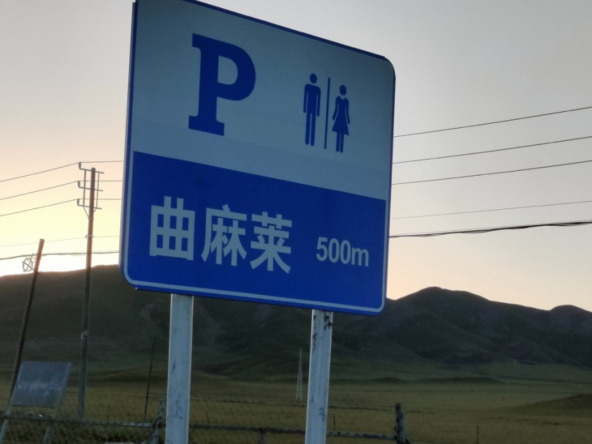 1万元也能买车自驾穷游，露营车里遭遇狼群，怎么办？