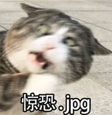 闲侃 ｜ 当谦儿大爷的捧哏对象是MINI电动，好卖属性+1？