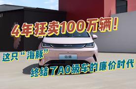 4年狂卖100万辆！这只“海豚”，终结了A0级车的廉价时代！