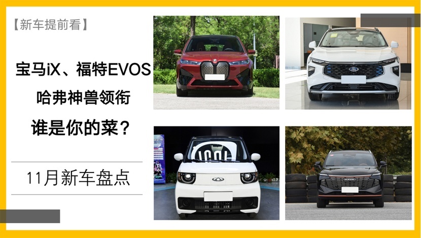 11月新车盘点：宝马iX、雷克萨斯NX、福特EVOS、哈弗神兽领衔