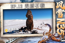 越野征途：风雪N35——羌塘石猴